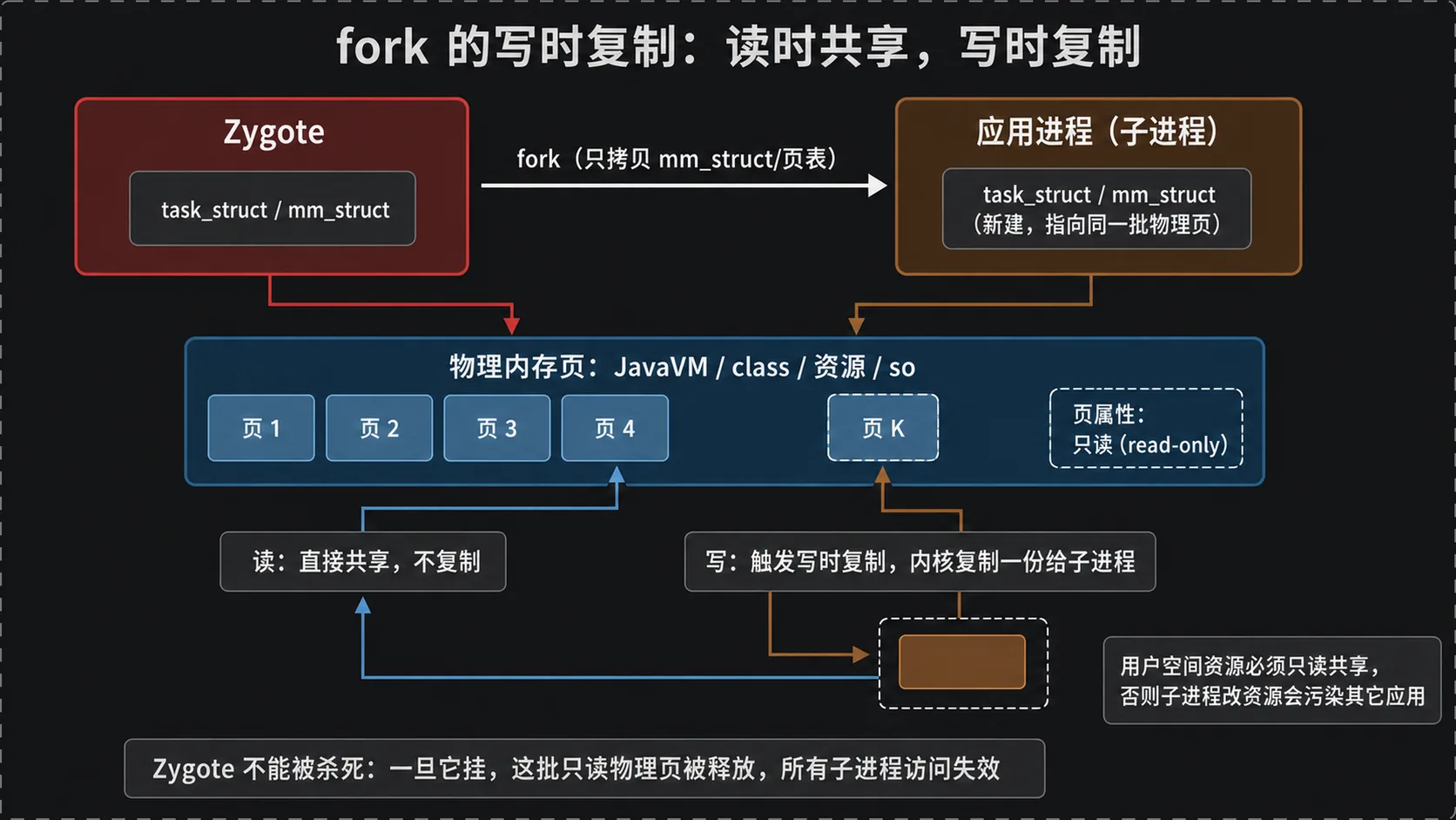 fork 写时复制：Zygote 的 mm_struct/页表被新建给子进程，二者指向同一批物理页并标为只读；任一进程写某页时内核复制一份（读时共享、写时复制）