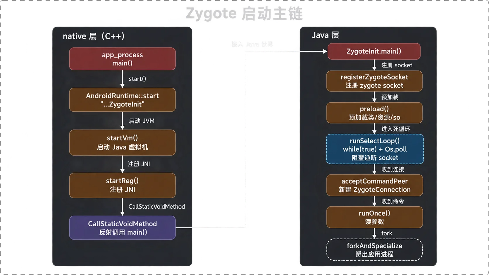 Zygote 启动主链：app_process main() → AndroidRuntime::start → startVm/startReg → CallStaticVoidMethod 进入 ZygoteInit.main() → registerZygoteSocket → preload → runSelectLoop(Os.poll) → acceptCommandPeer 新建 ZygoteConnection → runOnce 读参数 → forkAndSpecialize 孵出应用进程