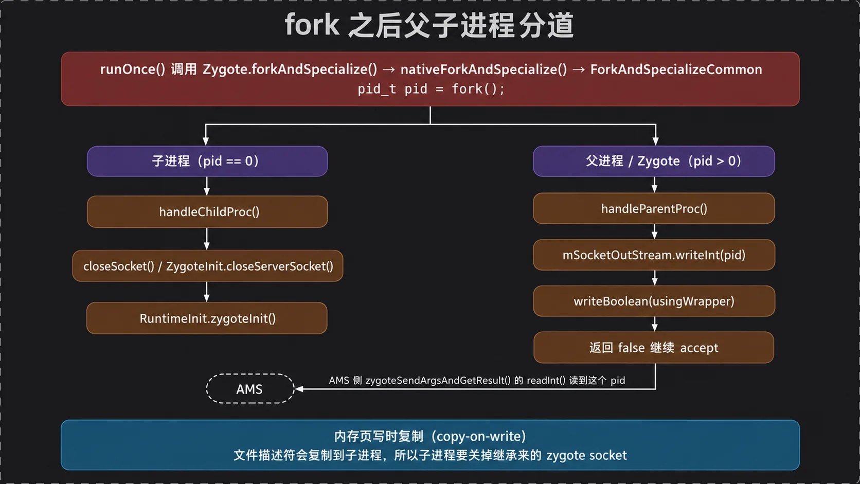 fork 之后父子进程分道