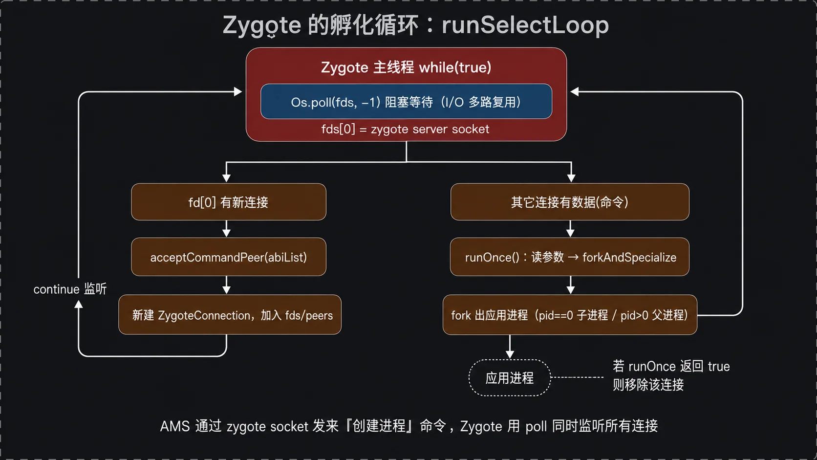 runSelectLoop 孵化循环：Zygote 主线程 while(true) + Os.poll 监听第 0 个 fd(zygote server socket) → acceptCommandPeer 新建 ZygoteConnection → 其它连接 runOnce → forkAndSpecialize 出应用进程