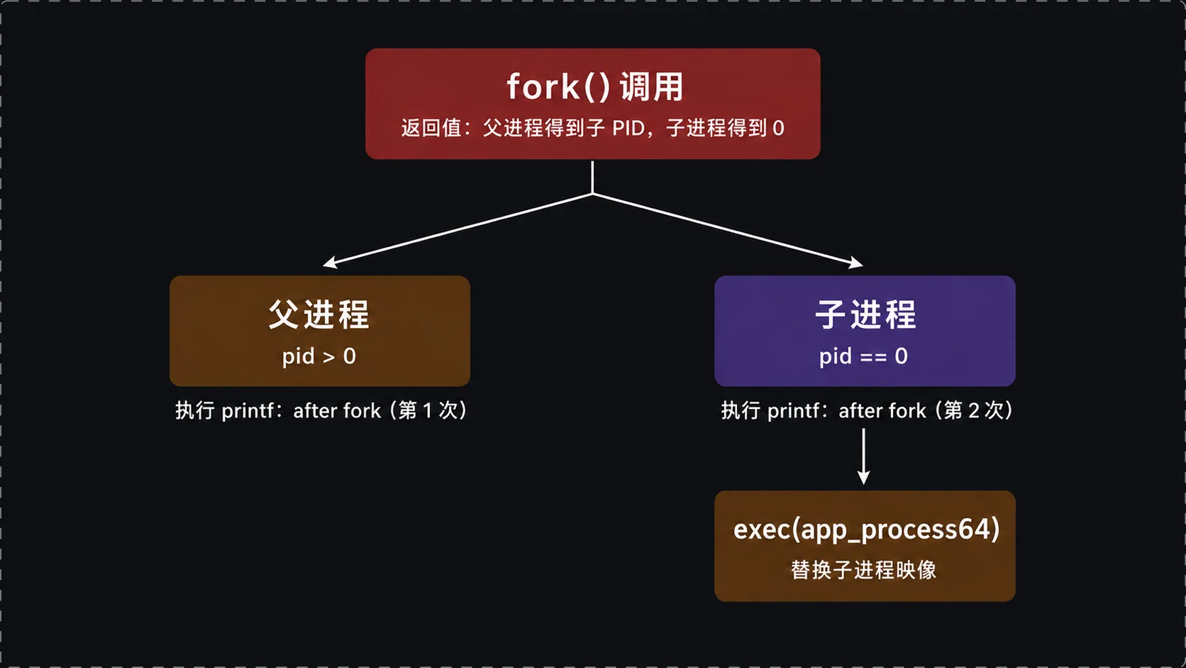 fork/exec 父子分叉:fork 后 printf 打印两次,pid 为 0 的子进程 exec 可执行文件